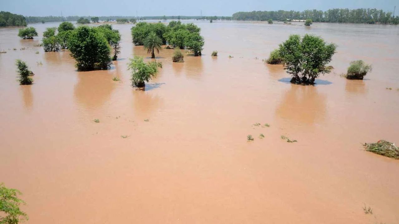 ਪੰਜਾਬ 'ਚ ਮੀਂਹ ਨੇ ਮਚਾਈ ਭਾਰੀ ਤਬਾਹੀ। Heavy rains caused havoc in Punjab.