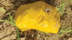 ਅੰਮ੍ਰਿਤਸਰ ਅਤੇ ਫਿਰੋਜ਼ਪੁਰ ‘ਚ ਮਿਲੀ ਕਰੋੜਾਂ ਦੀ ਹੈਰੋਇਨ, ਤਰਨਤਾਰਨ ਚੋਂ ਟੁੱਟਿਆ ਹੋਇਆ ਪਾਕਿਸਤਾਨੀ ਡ੍ਰੋਨ ਬਰਾਮਦ...