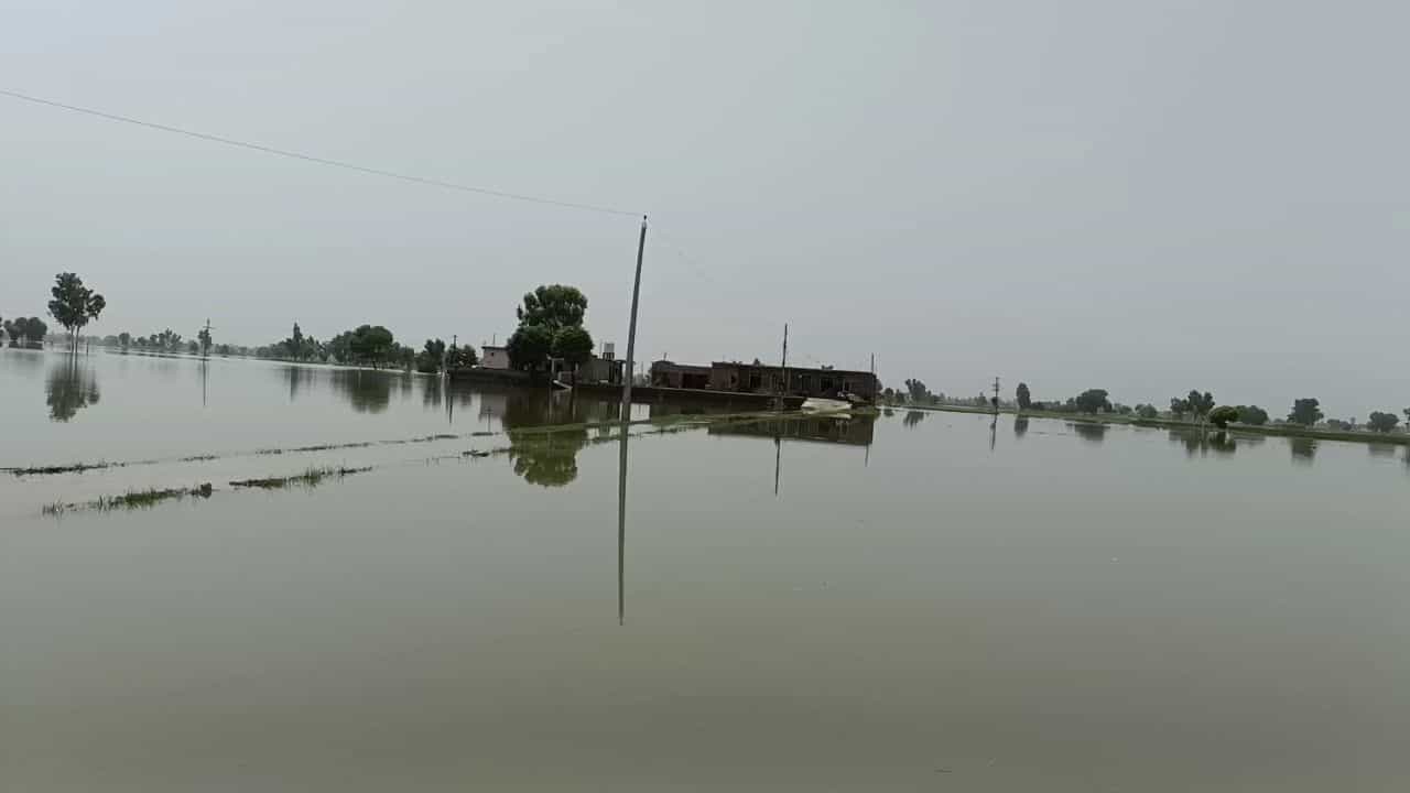 Punjab Flood: ਪੰਜਾਬ ਚ ਹੜ੍ਹ ਨਾਲ ਪਾਵਰਕਾਮ ਨੂੰ ਭਾਰੀ ਝਟਕਾ, 102 ਕਰੋੜ ਦੇ ਕਰੀਬ ਸਪਲਾਈ ਨੈੱਟਵਰਕ ਨੂੰ ਨੁਕਸਾਨ Punjab Flood: ਪੰਜਾਬ ਚ ਹੜ੍ਹ ਨਾਲ ਪਾਵਰਕਾਮ ਨੂੰ ਭਾਰੀ ਝਟਕਾ, 102 ਕਰੋੜ ਦੇ ਕਰੀਬ ਸਪਲਾਈ ਨੈੱਟਵਰਕ ਨੂੰ ਨੁਕਸਾਨ