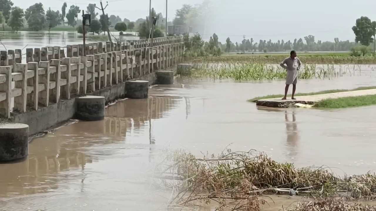 Punjab Flood: ਫਾਜ਼ਿਲਕਾ ਚ ਹੜ੍ਹ ਦੀ ਮਾਰ; ਲੋਕਾਂ ਨੂੰ ਪਿੰਡ ਖਾਲੀ ਕਰਨ ਦੀ ਅਪੀਲ, ਕਈ ਸਕੂਲ ਬੰਦ