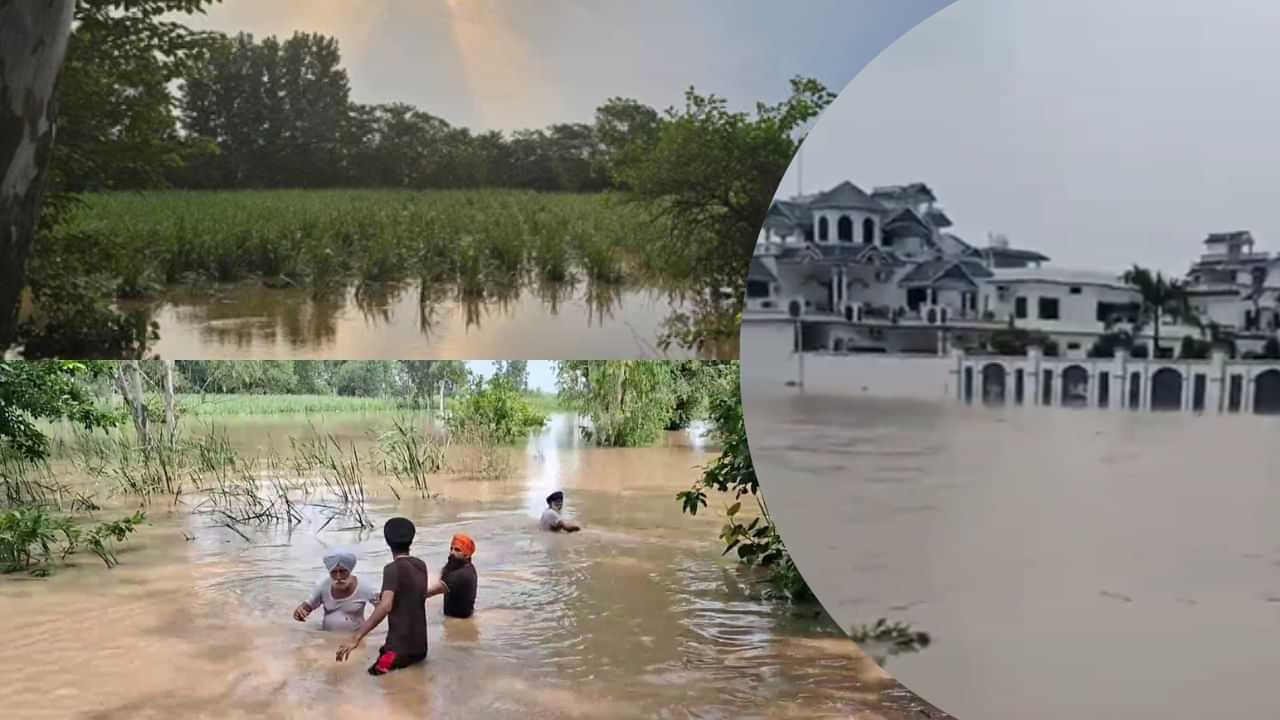 Punjab Flood: ਹੜ੍ਹ ਪ੍ਰਭਾਵਤ ਪਿੰਡਾਂ ਦੇ ਸਕੂਲਾਂ ਚ ਅਗਲੇ ਹੁਕਮਾਂ ਤੱਕ ਛੁੱਟੀ ਦਾ ਐਲਾਨ, ਡੀਸੀ ਗੁਰਦਾਸਪੁਰ ਨੇ ਜਾਰੀ ਕੀਤੇ ਹੁਕਮ