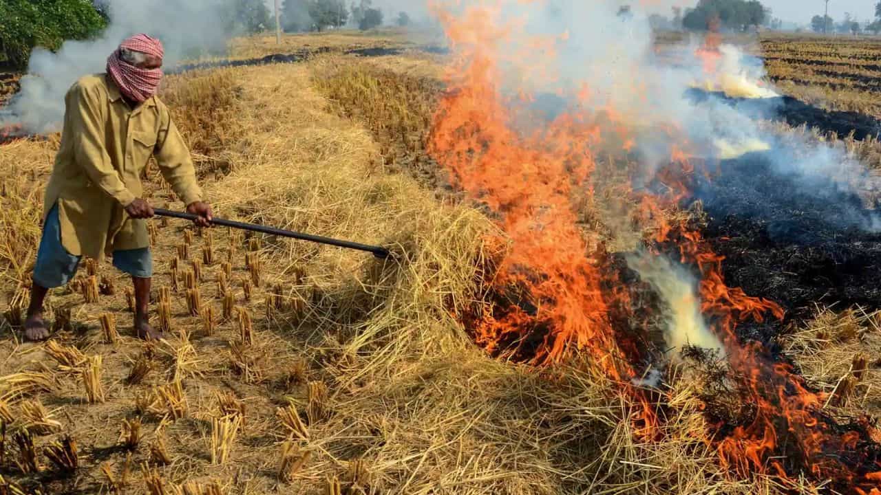 ਹੁਣ ਪਰਾਲੀ ਦੇ ਪ੍ਰਦੂਸ਼ਣ ਤੋਂ ਮਿਲੇਗਾ ਛੁਟਕਾਰਾ, ਇੱਟਾਂ ਦੇ ਭੱਠਿਆਂ ਨਾਲ ਹੋਵੇਗਾ ਹੱਲ, ਪੰਜਾਬ ਸਰਕਾਰ ਕੱਢਿਆ ਜਬਰਦਸਤ ਤੋੜ