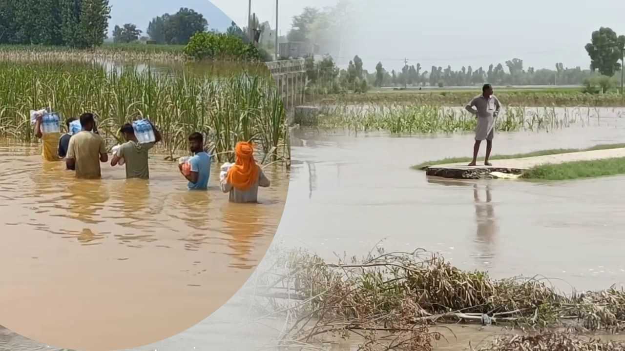 Punjab Flood: ਪੰਜਾਬ ਦੇ 9 ਜ਼ਿਲ੍ਹਿਆਂ ਚ ਹੜ੍ਹ ਦਾ ਕਹਿਰ; ਫਿਰੋਜ਼ਪੁਰ-ਫਾਜ਼ਿਲਕਾ ਦੇ 74 ਪਿੰਡ ਡੁੱਬੇ, ਰਾਹਤ ਤੇ ਬਚਾਅ ਕਾਰਜ ਜਾਰੀ