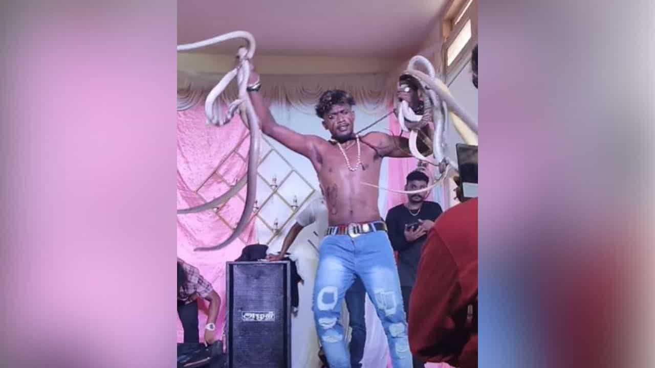 Viral Video: ਵਿਆਹ ਸਮਾਗਮ ਚ ਸ਼ਖਸ ਨੇ ਜ਼ਹਿਰੀਲੇ ਸੱਪਾਂ ਨਾਲ ਕੀਤਾ ਡਾਂਸ ਤਾਂ ਦਹਿਸ਼ਤ ਦੇ ਮਾਰੇ ਭੱਜਦੇ ਨਜ਼ਰ ਆਏ ਬਰਾਤੀ, ਵੇਖੋ ਹੋਸ਼ ਉੱਡਾ ਦੇਣ ਵਾਲਾ ਵੀਡੀਓ Viral Video: ਵਿਆਹ ਸਮਾਗਮ ਚ ਸ਼ਖਸ ਨੇ ਜ਼ਹਿਰੀਲੇ ਸੱਪਾਂ ਨਾਲ ਕੀਤਾ ਡਾਂਸ ਤਾਂ ਦਹਿਸ਼ਤ ਦੇ ਮਾਰੇ ਭੱਜਦੇ ਨਜ਼ਰ ਆਏ ਬਰਾਤੀ, ਵੇਖੋ ਹੋਸ਼ ਉੱਡਾ ਦੇਣ ਵਾਲਾ ਵੀਡੀਓ