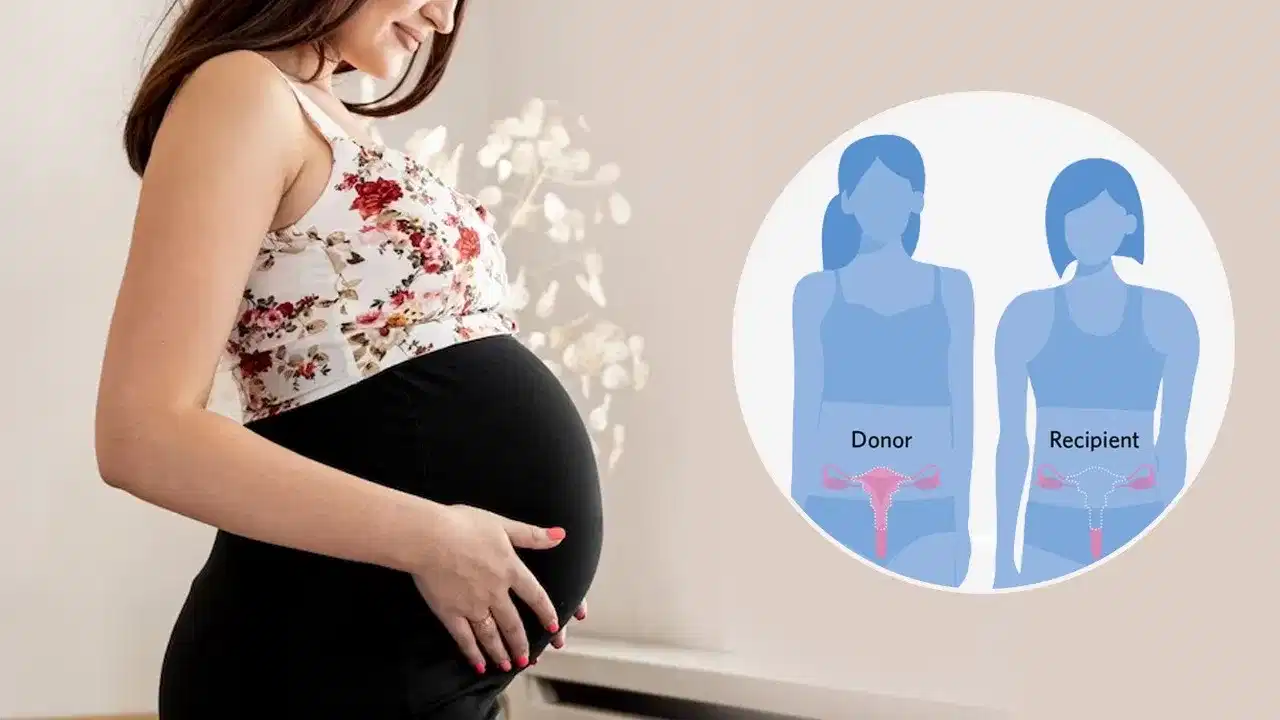 OMG News: ਸਾਈਂਸ ਨੇ ਕਰ ਦਿੱਤਾ ਚਮਤਕਾਰ... ਇੱਕੋ ਹੀ ਕੁੱਖ ਤੋਂ ਮਾਂ ਬਣਨਗੀਆਂ ਦੋ ਸੱਕੀਆਂ ਭੈਣਾਂ, ਜਾਣੋ ਕਿਵੇਂ ਹੋਇਆ ਇਹ ਚਮਤਕਾਰ