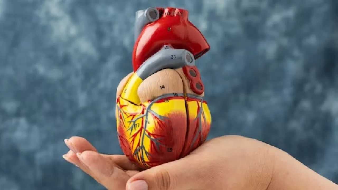 Heart Blockage: ਬਿਨ੍ਹਾਂ ਦਵਾਈਆਂ ਹਾਰਟ ਬਲਾਕੇਜ ਹੋ ਜਾਵੇਗਾ ਖਤਮ, ਇਹ ਆਯੁਰਵੈਦਿਕ ਤਰੀਕੇ ਕਰੋ ਫਾਲੋ