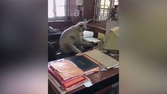 Funny Video: ਦਫ਼ਤਰ ਚ ਕੰਮ ਕਰ ਰਿਹਾ “ਬਾਂਦਰ ਮਾਮਾ”, ਕੀਬੋਰਡ ‘ਤੇ ਇਨਸਾਨਾਂ ਵਾਂਗ ਚਲਾ ਰਿਹਾ ਉਂਗਲਾਂ, ਵੋਖੋ ਮਜ਼ੇਦਾਰ VIDEO Funny Video: ਦਫ਼ਤਰ ਚ ਕੰਮ ਕਰ ਰਿਹਾ “ਬਾਂਦਰ ਮਾਮਾ”, ਕੀਬੋਰਡ ‘ਤੇ ਇਨਸਾਨਾਂ ਵਾਂਗ ਚਲਾ ਰਿਹਾ ਉਂਗਲਾਂ, ਵੋਖੋ ਮਜ਼ੇਦਾਰ VIDEO