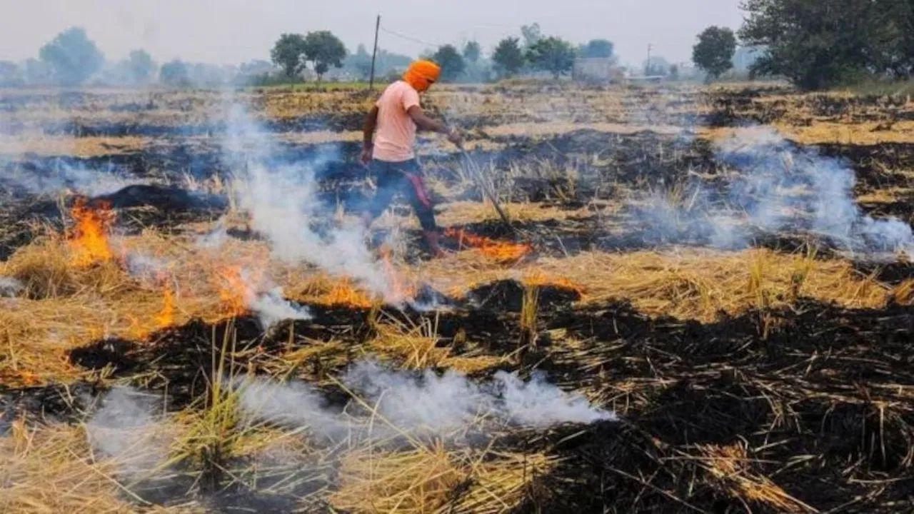 ਹਰਿਆਣਾ-ਪੰਜਾਬ ਵਿੱਚ ਪਰਾਲੀ ਸਾੜਨ ਨਾਲ ਦਿੱਲੀ-ਐਨਸੀਆਰ ਦੀ ਹਵਾ ਹੋ ਰਹੀ ਹੈ ਜ਼ਹਿਰੀਲੀ ਹਰਿਆਣਾ-ਪੰਜਾਬ ਵਿੱਚ ਪਰਾਲੀ ਸਾੜਨ ਨਾਲ ਦਿੱਲੀ-ਐਨਸੀਆਰ ਦੀ ਹਵਾ ਹੋ ਰਹੀ ਹੈ ਜ਼ਹਿਰੀਲੀ