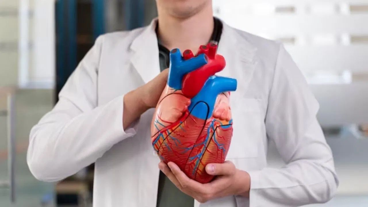 Health Tips: ਕੀ ਦਿਲ ਦੇ ਮਰੀਜ਼ ਘਿਓ ਅਤੇ ਮੱਖਣ ਖਾ ਸਕਦੇ ਹਨ? ਮਾਹਰ ਤੋਂ ਜਵਾਬ ਜਾਣੋ