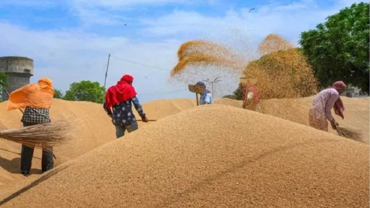 Kisan Protest: ਅੱਜ 11 ਤੋਂ 3 ਵਜੇ ਤੱਕ ਸੜਕਾਂ ਜਾਮ ਕਰਨਗੇ ਕਿਸਾਨ, ਝੋਨੇ ਦੀ ਖਰੀਦ ਦਾ ਮਾਮਲਾ