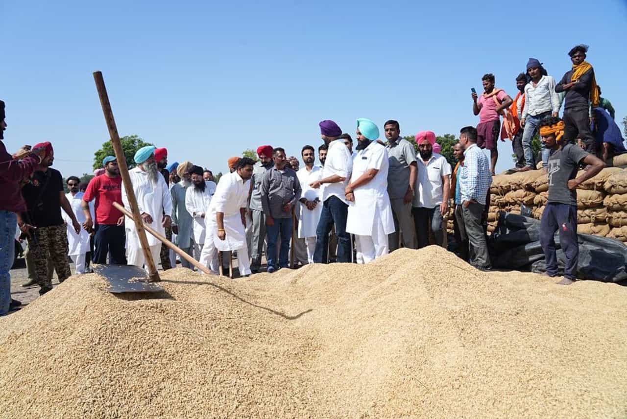ਪੰਜਾਬ ਚ ਝੋਨੇ ਦੀ ਖਰੀਦ ਦਾ ਸਮਾਂ ਵਧਾਇਆ, ਹੁਣ ਕਿਸਾਨ 7 ਦਸੰਬਰ ਤੱਕ ਮੰਡੀਆਂ ਚ ਵੇਚ ਸਕਣਗੇ ਫਸਲ