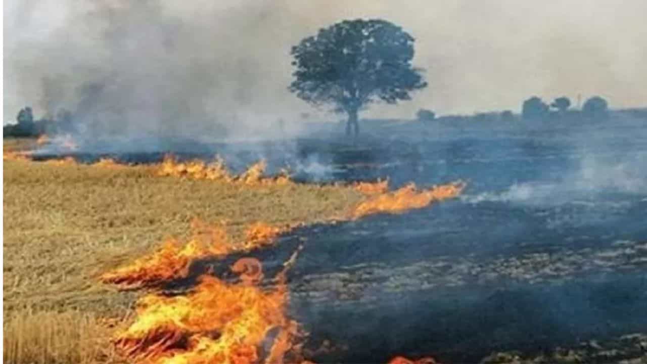 ਪੰਜਾਬ ਚ ਇਸ ਵਾਰ ਪਰਾਲੀ ਸਾੜਨ ਦਾ ਟੁੱਟਿਆ ਰਿਕਾਰਡ, ਇੱਕ ਦਿਨ ਚ 3 ਹਜ਼ਾਰ ਤੋਂ ਵੱਧ ਮਾਮਲੇ ਆਏ ਸਾਹਮਣੇ