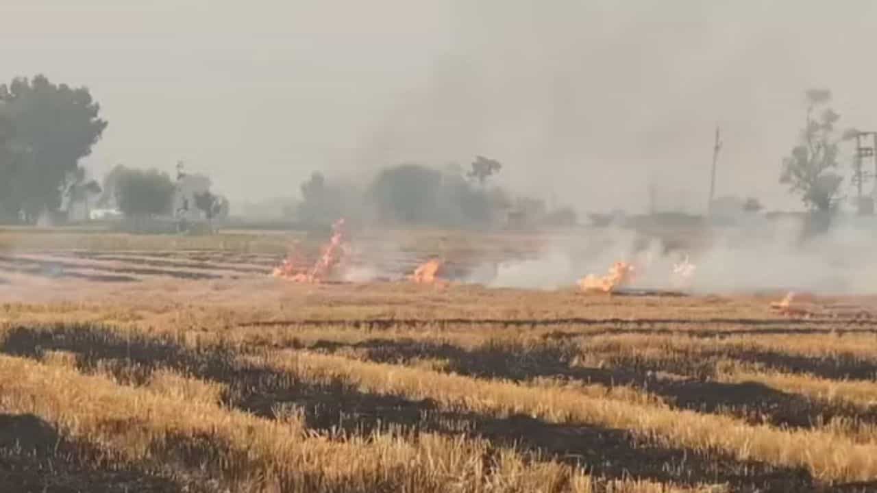 ਪੰਜਾਬ ਚ ਪਰਾਲੀ ਸਾੜਨ ਦਾ ਸਿਲਸਿਲਾ ਰੁਕਿਆ ਨਹੀਂ, 2060 ਨਵੇਂ ਮਾਮਲੇ, ਕਈ ਸ਼ਹਿਰਾਂ ਦੀ ਹਵਾ ਹੋਈ ਬੇਹੱਦ ਖਰਾਬ