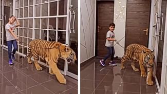 OMG! ਖਤਰਨਾਕ ਟਾਈਗਰ ਨੂੰ ਲੈ ਕੇ ਬੇਖੌਫ ਘੁੰਮ ਰਿਹਾ ਇੱਕ ਬੱਚਾ, VIDEO ਦੇਖ ਹੈਰਾਨ ਰਹਿ ਗਏ ਲੋਕ OMG! ਖਤਰਨਾਕ ਟਾਈਗਰ ਨੂੰ ਲੈ ਕੇ ਬੇਖੌਫ ਘੁੰਮ ਰਿਹਾ ਇੱਕ ਬੱਚਾ, VIDEO ਦੇਖ ਹੈਰਾਨ ਰਹਿ ਗਏ ਲੋਕ