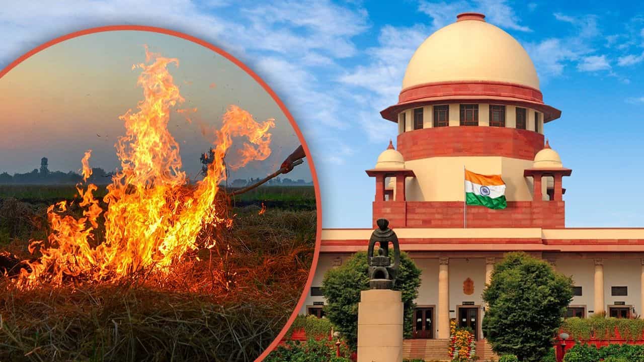 ਪਰਾਲੀ ਸਾੜਣਾ ਤੁਰੰਤ ਬੰਦ ਹੋਵੇ, ਇਹ ਲੋਕਾਂ ਦੀ ਹੱਤਿਆ ਕਰਨ ਵਾਂਗ ਹੈ; SC ਦਾ ਪੰਜਾਬ ਸਰਕਾਰ ਨੂੰ ਆਦੇਸ਼