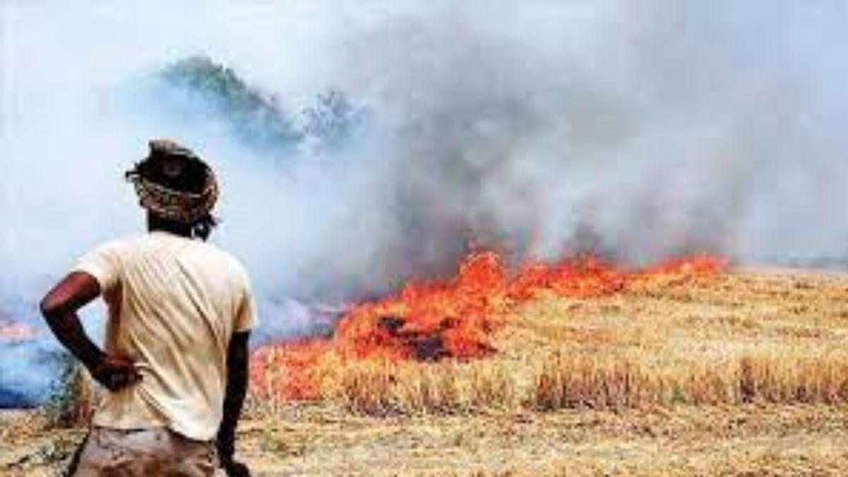 ਕੌਣ ਸਮਝਾਵੇ ? ਗੁਰਦੁਆਰੇ ਤੋਂ ਦਿੱਤਾ ਜਾ ਰਿਹਾ ਸਾਢੇ ਤਿੰਨ ਵਜੇ ਤੋਂ ਬਾਅਦ ਪਰਾਲੀ ਸਾੜਨ ਦਾ ਸੁਨੇਹਾ ਕੌਣ ਸਮਝਾਵੇ ? ਗੁਰਦੁਆਰੇ ਤੋਂ ਦਿੱਤਾ ਜਾ ਰਿਹਾ ਸਾਢੇ ਤਿੰਨ ਵਜੇ ਤੋਂ ਬਾਅਦ ਪਰਾਲੀ ਸਾੜਨ ਦਾ ਸੁਨੇਹਾ