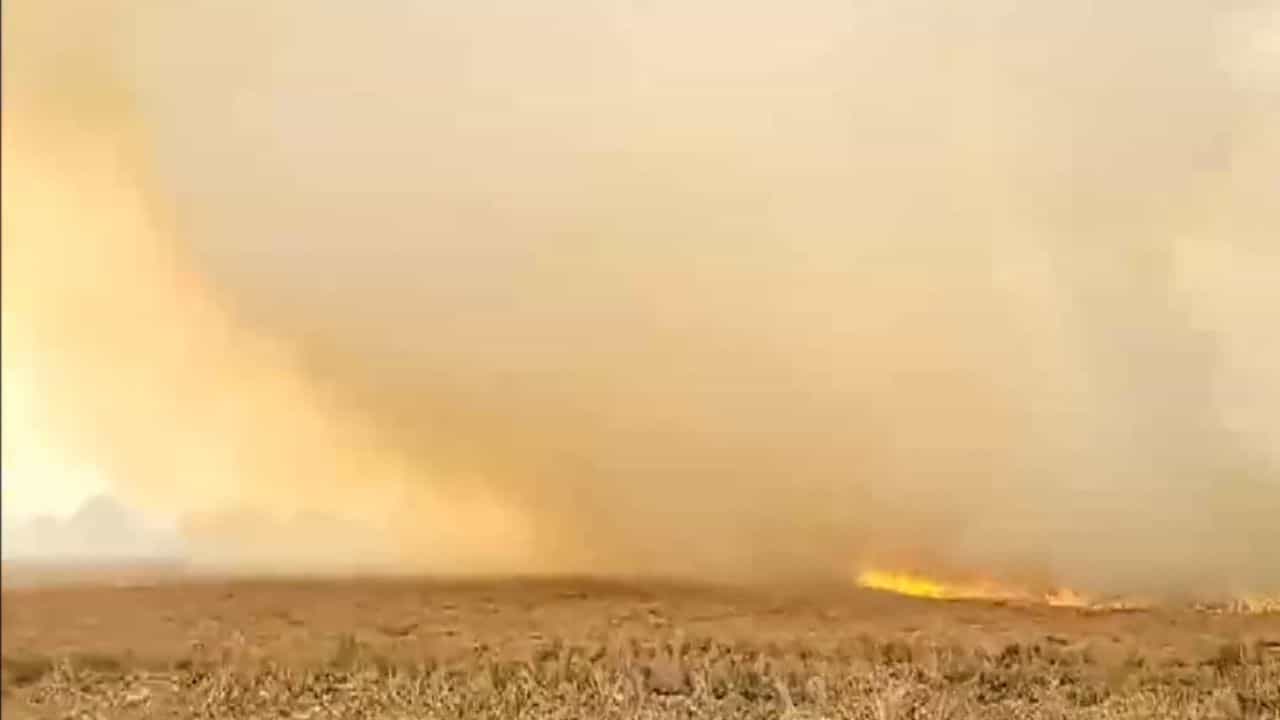 ਪੰਜਾਬ ਚ ਲਗਾਤਾਰ ਵੱਧ ਰਿਹਾ ਪ੍ਰਦੂਸ਼ਣ ਦਾ ਪੱਧਰ, ਪਰਾਲੀ ਦਾ ਪ੍ਰਬੰਧਨ ਬਣਿਆ ਸਭ ਤੋਂ ਵੱਡੀ ਚੁਣੌਤੀ