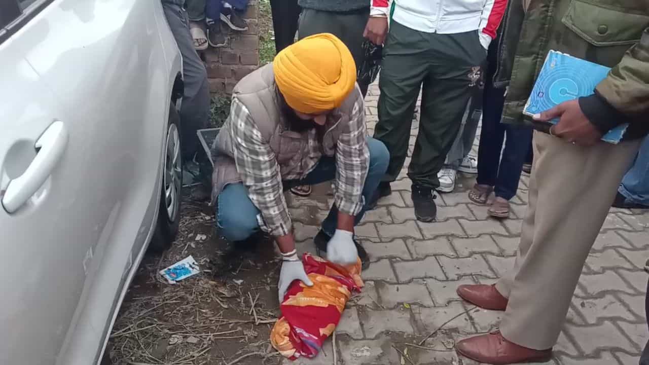 ਗੁਰਦਾਸਪੁਰ ਚ ਕੁੱਤੇ ਖਾ ਰਹੇ ਸੀ ਨਵਜੰਮੇ ਬੱਚੇ ਦੀ ਲਾਸ਼, ਪੁਲਿਸ ਕਰ ਰਹੀ ਮਾਮਲੇ ਦੀ ਜਾਂਚ