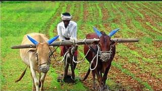 ਅੱਜ ਆ ਸਕਦੀ ਹੈ PM Kisan ਦੀ 20ਵੀਂ ਕਿਸ਼ਤ , ਇੰਝ ਚੈੱਕ ਕਰੋ ਆਪਣਾ ਸਟੇਟਸ