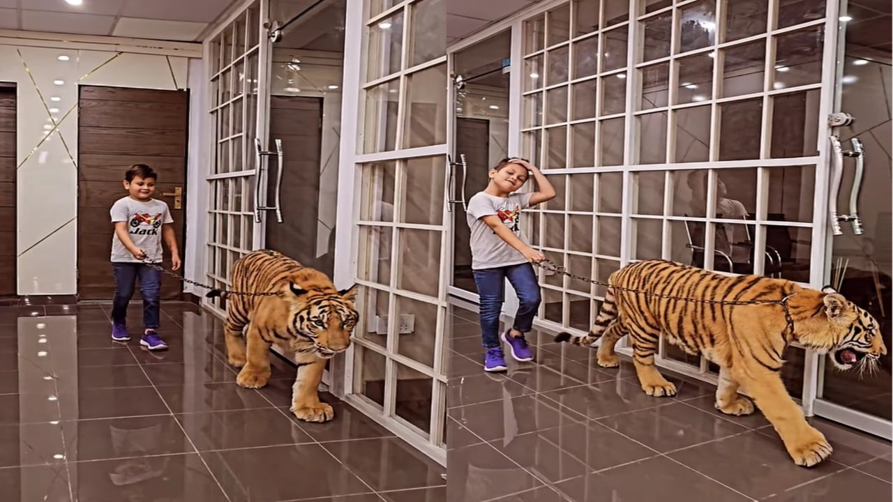 OMG: ਖਤਰਨਾਕ ਬਾਘ ਨੂੰ ਬੇਖੌਫ਼ ਹੋ ਕੇ ਘੁੰਮਾਉਂਦਾ ਨਜ਼ਰ ਆਇਆ ਇਹ ਬੱਚਾ, ਵੀਡੀਓ ਦੇਖ ਉੱਡ ਜਾਣਗੇ ਹੋਸ਼