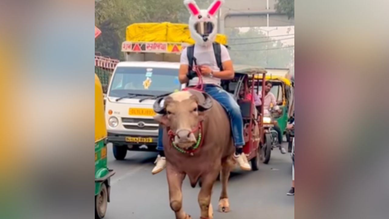 Viral Video: ਪੈਟਰੋਲ ਹੋਇਆ ਮਹਿੰਗਾ ਤਾਂ ਮੱਝ ਨੂੰ ਹੀ ਬਣਾਇਆ ਆਪਣਾ ਸਾਧਨ, ਵੀਡੀਓ ਵੇਖ ਹੋ ਜਾਓਗੇ ਹੈਰਾਨ