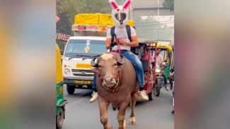 Viral Video: ਪੈਟਰੋਲ ਹੋਇਆ ਮਹਿੰਗਾ ਤਾਂ ਮੱਝ ਨੂੰ ਹੀ ਬਣਾਇਆ ਆਪਣਾ ਸਾਧਨ, ਵੀਡੀਓ ਵੇਖ ਹੋ ਜਾਓਗੇ ਹੈਰਾਨ Viral Video: ਪੈਟਰੋਲ ਹੋਇਆ ਮਹਿੰਗਾ ਤਾਂ ਮੱਝ ਨੂੰ ਹੀ ਬਣਾਇਆ ਆਪਣਾ ਸਾਧਨ, ਵੀਡੀਓ ਵੇਖ ਹੋ ਜਾਓਗੇ ਹੈਰਾਨ