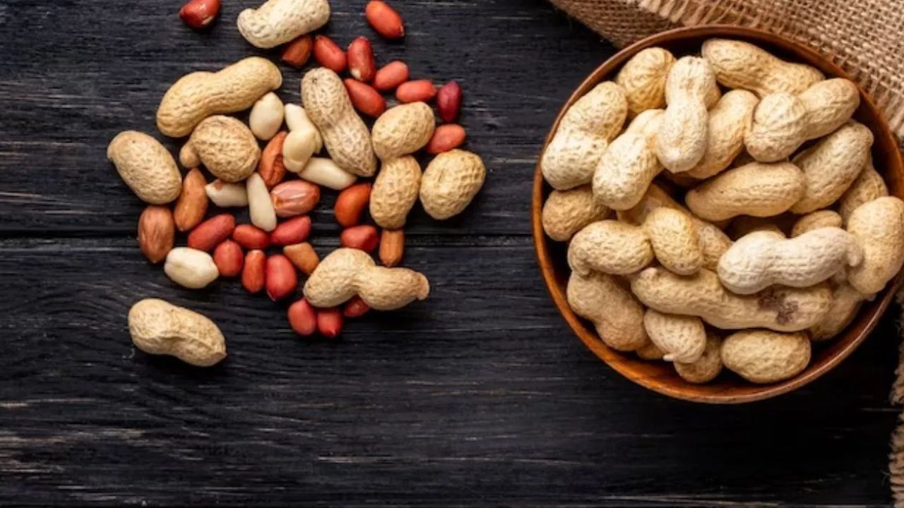 Health Tips: ਇਨ੍ਹਾਂ ਬੀਮਾਰੀਆਂ ਨਾਲ ਜੂਝ ਰਹੇ ਲੋਕਾਂ ਨੂੰ ਖਾਣੀ ਚਾਹੀਦੀ ਹੈ ਮੂੰਗਫਲੀ ਜਾਣੋ ਪੂਰਾ Health Tips: ਇਨ੍ਹਾਂ ਬੀਮਾਰੀਆਂ ਨਾਲ ਜੂਝ ਰਹੇ ਲੋਕਾਂ ਨੂੰ ਖਾਣੀ ਚਾਹੀਦੀ ਹੈ ਮੂੰਗਫਲੀ ਜਾਣੋ ਪੂਰਾ