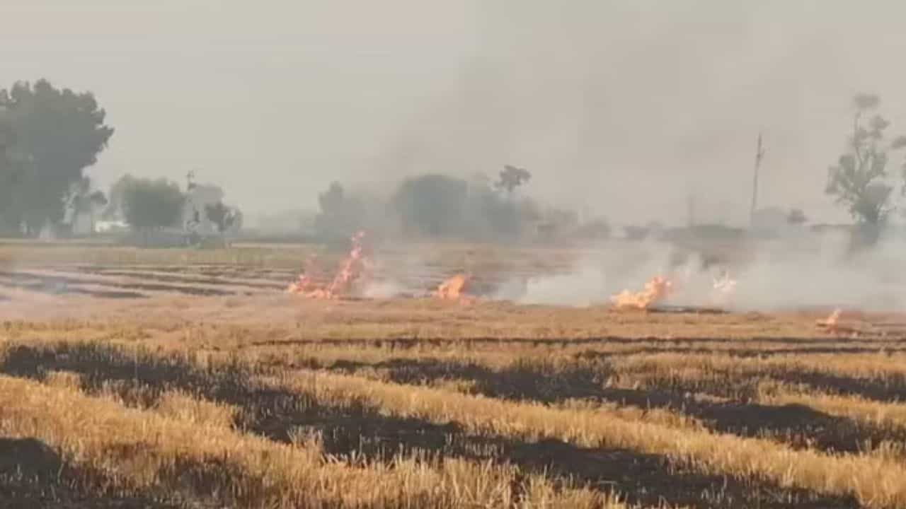 Stubble Burning: ਪਰਾਲੀ ਤੇ NGT ਸਖਤ, ਪੰਜਾਬ ਅਤੇ ਹਰਿਆਣਾ ਨੂੰ 2024 ਲਈ ਸਮਾਂਬੱਧ ਕਾਰਜ ਯੋਜਨਾ ਬਣਾਉਣ ਦੇ ਨਿਰਦੇਸ਼