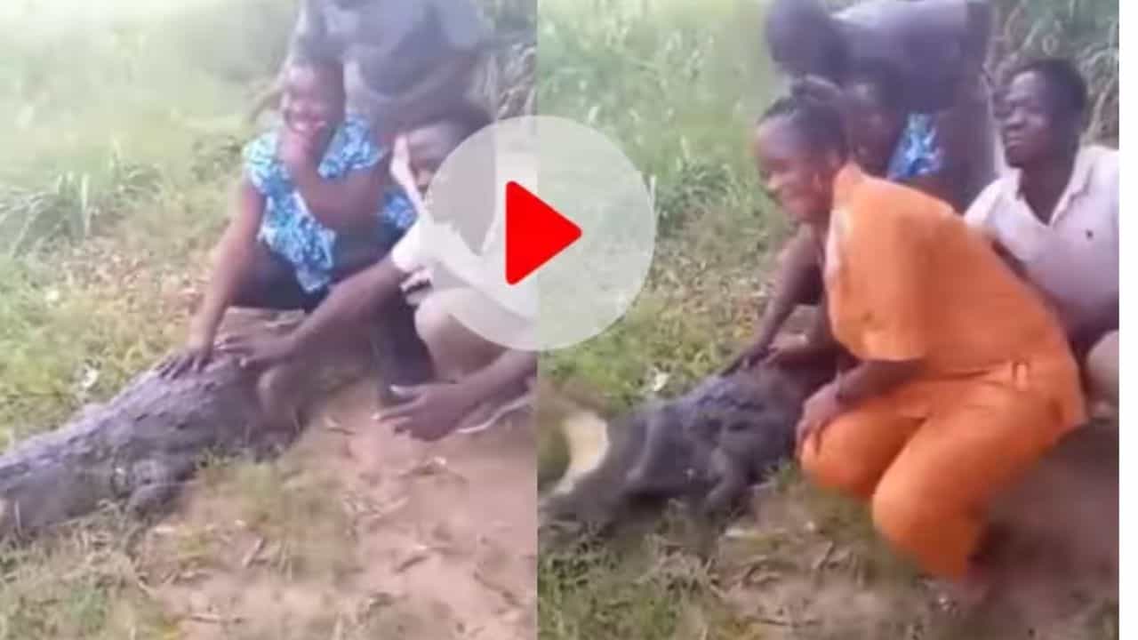 Watch: ਮਗਰਮੱਛ ਨੂੰ ਫੜ ਕੇ ਫੋਟੋ ਖਿਚਵਾ ਰਹੇ ਸਨ ਲੋਕ, ਅਚਾਨਕ ਜਾਗਿਆ ਵਿਸ਼ਾਲ ਜੀਵ, ਜਾਨ ਬਚਾਉਣ ਲਈ ਭੱਜੇ ਲੋਕ Watch: ਮਗਰਮੱਛ ਨੂੰ ਫੜ ਕੇ ਫੋਟੋ ਖਿਚਵਾ ਰਹੇ ਸਨ ਲੋਕ, ਅਚਾਨਕ ਜਾਗਿਆ ਵਿਸ਼ਾਲ ਜੀਵ, ਜਾਨ ਬਚਾਉਣ ਲਈ ਭੱਜੇ ਲੋਕ