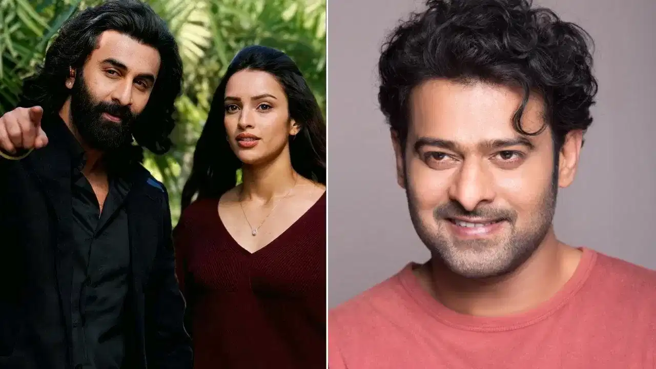 ਐਨੀਮਲ ਤੋਂ ਬਣ ਗਈ ਭਾਭੀ 2, ਕੀ ਹੁਣ ਪ੍ਰਭਾਸ ਦੀ ਫਿਲਮ ਚ ਨਜ਼ਰ ਆਵੇਗੀ ਤ੍ਰਿਪਤੀ ਡਿਮਰੀ ?