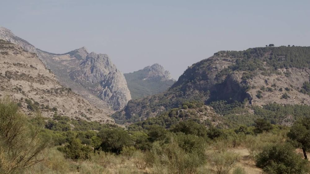 ਮਾਊਂਟ ਆਬੂ ਦੀ ਖੂਬਸੂਰਤੀ: ਟੂਰਿਸਟ ਪਲੇਸ ਮਾਊਂਟ ਆਬੂ ਵਿੱਚ ਮੀਂਹ ਤੋਂ ਬਾਅਦ ਸਰਦੀਆਂ ਹੋਰ ਵੱਧ ਜਾਂਦੀ ਹੈ। ਪਹਾੜ ਅਤੇ ਹਰਿਆਲੀ ਨਾਲ ਘਿਰੀ ਇਸ ਥਾਂ ਦੀ ਖੂਬਸੂਰਤੀ ਸੈਲਾਨੀਆਂ ਨੂੰ ਕਾਫੀ ਪਸੰਦ ਆਉਂਦੀ ਹੈ। ਰਾਜਸਥਾਨ ਦਾ ਇਹ ਹਿਲ ਸਟੇਸ਼ਨ ਹਨੀਮੂਨ ਡੇਸਟਿਨੇਸ਼ਨ ਵੀ ਹੈ।