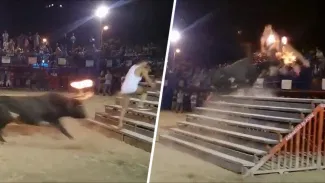 Shocking News: ਸਾਂਡ ਦੇ ਸਿੰਗਾਂ ਨੂੰ ਅੱਗ ਲਗਾ ਕੇ ਕਰ ਰਿਹਾ ਸੀ ਸਟੰਟ, ਫੇਰ ਜੋ ਹੋਇਆ, ਵੇਖ ਕੇ ਕੰਬ ਜਾਵੇਗੀ ਰੂਹ… ਦੇਖੋ ਵੀਡੀਓ Shocking News: ਸਾਂਡ ਦੇ ਸਿੰਗਾਂ ਨੂੰ ਅੱਗ ਲਗਾ ਕੇ ਕਰ ਰਿਹਾ ਸੀ ਸਟੰਟ, ਫੇਰ ਜੋ ਹੋਇਆ, ਵੇਖ ਕੇ ਕੰਬ ਜਾਵੇਗੀ ਰੂਹ… ਦੇਖੋ ਵੀਡੀਓ