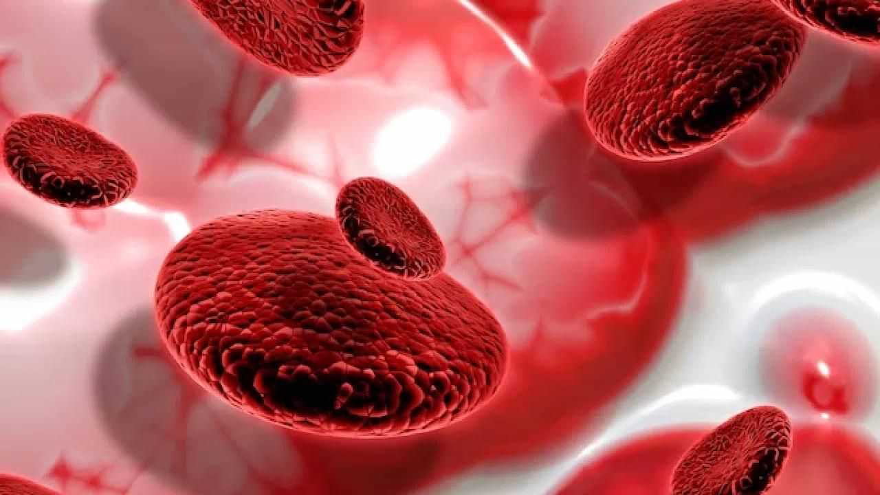 ਸਰਦੀਆਂ ਚ Blood Clot ਹੋਣ ਦਾ ਰਹਿੰਦਾ ਹੈ ਖਤਰਾ, ਇਹ ਲੱਛਣ ਦਿਖਾਈ ਦਿੰਦੇ ਹੀ ਕਰਵਾਓ ਇਲਾਜ