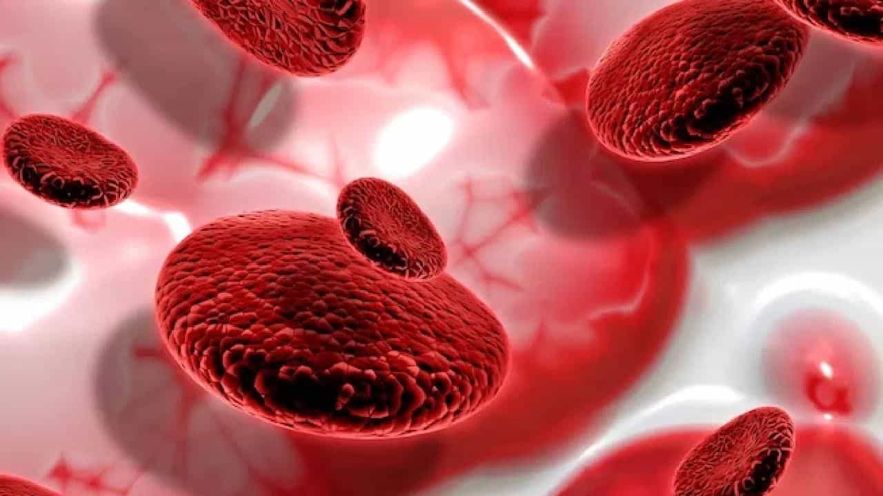 ਸਰਦੀਆਂ ਚ Blood Clot ਹੋਣ ਦਾ ਰਹਿੰਦਾ ਹੈ ਖਤਰਾ, ਇਹ ਲੱਛਣ ਦਿਖਾਈ ਦਿੰਦੇ ਹੀ ਕਰਵਾਓ ਇਲਾਜ ਸਰਦੀਆਂ ਚ Blood Clot ਹੋਣ ਦਾ ਰਹਿੰਦਾ ਹੈ ਖਤਰਾ, ਇਹ ਲੱਛਣ ਦਿਖਾਈ ਦਿੰਦੇ ਹੀ ਕਰਵਾਓ ਇਲਾਜ