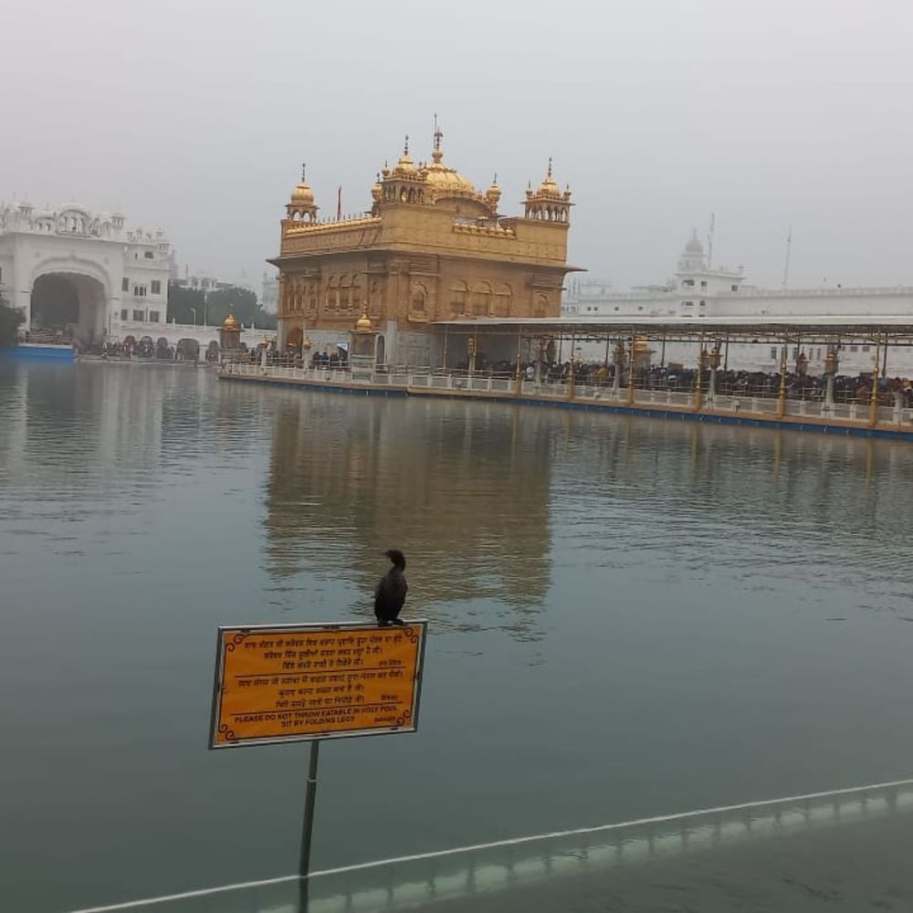 ਨਵਾਂ ਸਾਲ ਦੇ ਆਗਾਜ਼ ਮੌਕੇ ਲੱਖਾਂ ਸ਼ਰਧਾਲੂ ਸ੍ਰੀ ਹਰਿਮੰਦਰ ਸਾਹਿਬ ਵਿਖੇ ਨਤਮਸਤਕ ਹੋਣ ਪਹੁੰਚੇ। ਰਾਤ ਦੇ 12 ਵੱਜਦੇ ਹੀ ਸ੍ਰੀ ਹਰਿਮੰਦਰ ਸਾਹਿਬ ਅਤੇ ਗੁਰੂ ਨਗਰੀ ਚੜ੍ਹਦੀ ਕਲ੍ਹਾ ਦੇ ਜੈਕਾਰਿਆਂ ਨਾਲ ਗੂੰਜ ਉੱਠੀ।
