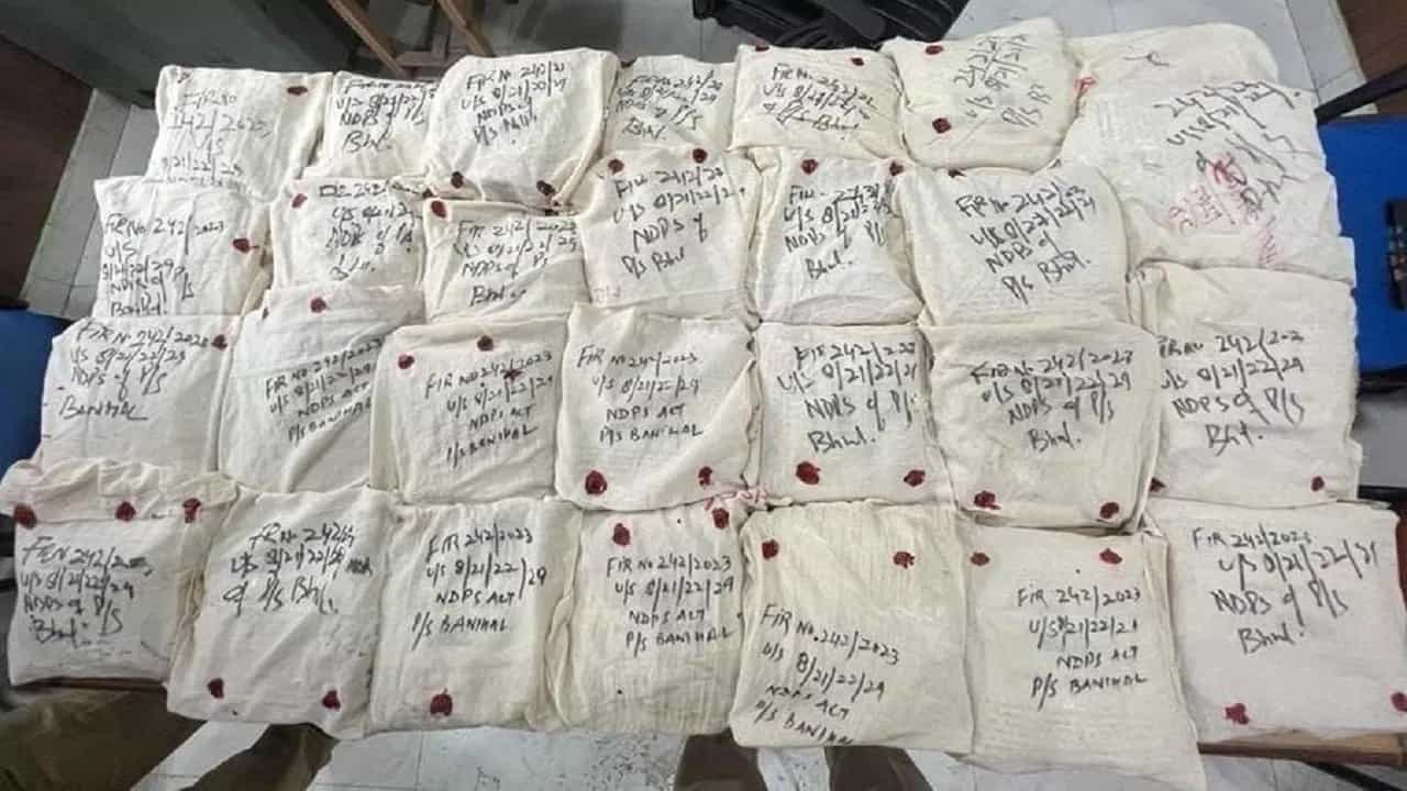 ਅਮਰੀਕਾਂ ਚ 30 ਕਿਲੋ ਕੋਕਿਨ ਸਮੇਤ ਇੰਡੋ-ਕੈਨੇਡੀਅਨ ਔਰਤ ਕਾਬੂ, ਤਰਬੂਜਾਂ ਦੇ ਟਰੱਕ ਰਾਹੀਂ ਕਰਦੀ ਸੀ ਸਪਲਾਈ