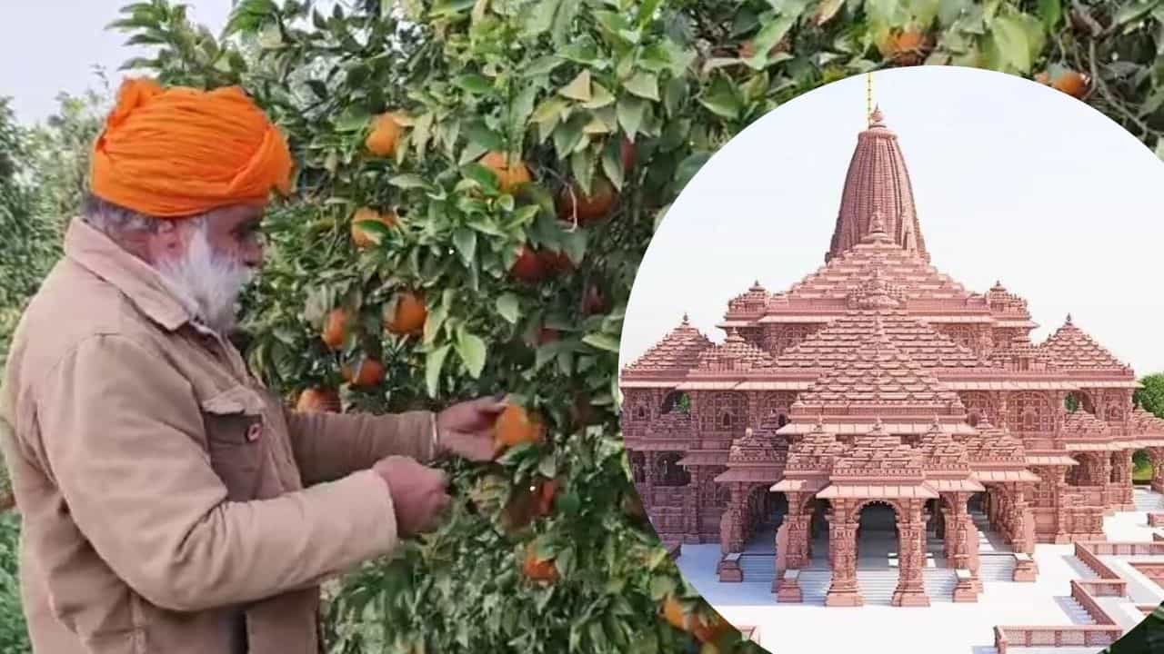 ਪੰਜਾਬ ਦੇ ਕਿਸਾਨ ਅਯੁੱਧਿਆ ਰਾਮ ਮੰਦਰ ਲਈ ਲਗਾਉਣਾ ਚਾਹੰਦੇ ਹਨ ਕਿੰਨੂਆਂ ਦਾ ਲੰਗਰ, ਕੇਂਦਰ ਸਰਕਾਰ ਨੂੰ ਕੀਤੀ ਅਪੀਲ ਪੰਜਾਬ ਦੇ ਕਿਸਾਨ ਅਯੁੱਧਿਆ ਰਾਮ ਮੰਦਰ ਲਈ ਲਗਾਉਣਾ ਚਾਹੰਦੇ ਹਨ ਕਿੰਨੂਆਂ ਦਾ ਲੰਗਰ, ਕੇਂਦਰ ਸਰਕਾਰ ਨੂੰ ਕੀਤੀ ਅਪੀਲ