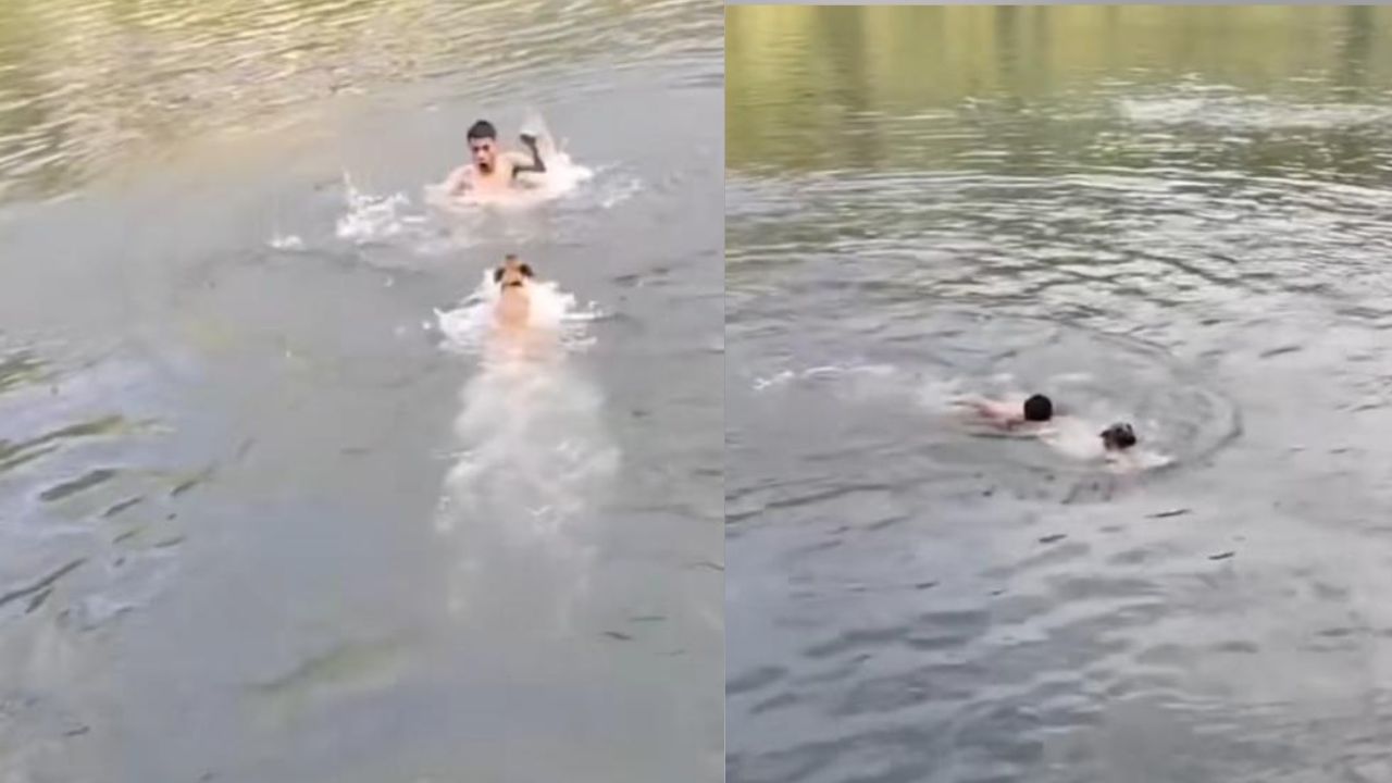 Viral Video: ਵਫਾਦਾਰੀ ਦਾ ਇੱਕ ਹੋਰ ਸਬੂਤ, ਵੇਖੋ ਕੁੱਤੇ ਨੇ ਕਿਵੇਂ ਬਚਾਈ ਮਾਲਕ ਦੀ ਜਾਨ Viral Video: ਵਫਾਦਾਰੀ ਦਾ ਇੱਕ ਹੋਰ ਸਬੂਤ, ਵੇਖੋ ਕੁੱਤੇ ਨੇ ਕਿਵੇਂ ਬਚਾਈ ਮਾਲਕ ਦੀ ਜਾਨ