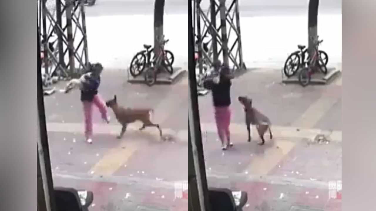 Viral Video: ਅਵਾਰਾ ਕੁੱਤੇ ਨੇ ਮਾਂ-ਬੱਚੇ ਤੇ ਕੀਤਾ ਹਮਲਾ,  ਕਿਵੇਂ ਬਚੀ ਜਾਨ?ਵੇਖੋ ਰੁਹ ਕੰਬਾਉਣ ਵਾਲਾ ਵੀਡੀਓ