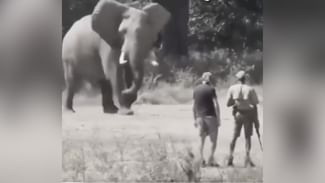 Shocking Video: ਜਦੋਂ ਗੁੱਸੇ ‘ਚ ਆਏ ਹਾਥੀ ਅੱਗੇ ਖੜ ਗਏ 2 ਨੌਜਵਾਨ, ਆਨੰਦ ਮਹਿੰਦਰਾ ਨੇ ਸ਼ੇਅਰ ਕੀਤਾ ਵੀਡੀਓ