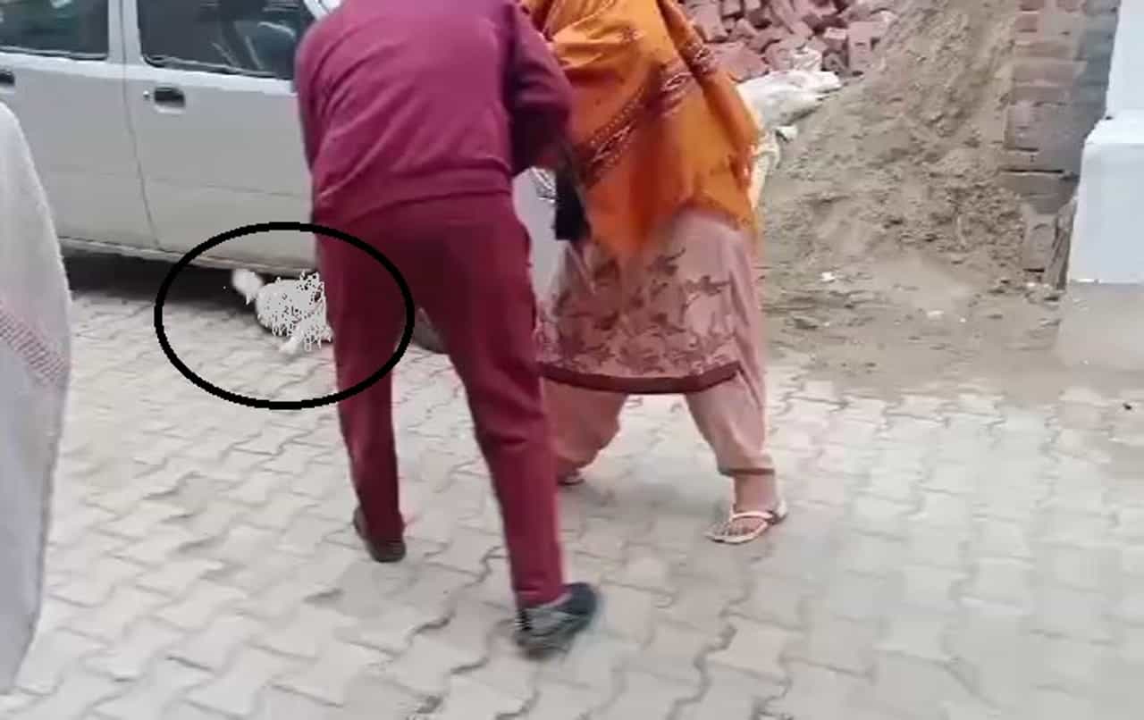 Shocking News: ਕੁੱਤੇ ਨੇ ਪਾੜਿਆ ਗੱਡੀ ਦਾ ਕਵਰ ਤਾਂ ਵਿਅਕਤੀ ਨੇ ਕੁੱਤੇ ਦੇ ਫੇਫੜਿਆਂ ਚ ਖੋਭਿਆ ਬਰਛਾ