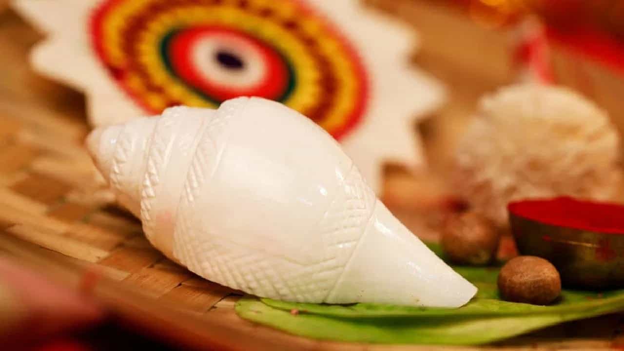 ਘਰ ਚ ਇਸ ਤਰ੍ਹਾਂ ਰੱਖੋ ਸ਼ੰਖ, ਖੁਸ਼ ਹੋ ਦੇਵੀ ਲਕਸ਼ਮੀ ਕਰਨਗੇ ਧਨ ਵਰਖਾ ਘਰ ਚ ਇਸ ਤਰ੍ਹਾਂ ਰੱਖੋ ਸ਼ੰਖ, ਖੁਸ਼ ਹੋ ਦੇਵੀ ਲਕਸ਼ਮੀ ਕਰਨਗੇ ਧਨ ਵਰਖਾ