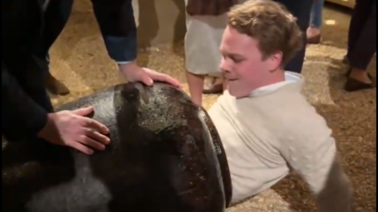 ਨਾ ਪੀਓ ਇਨ੍ਹੀ ਸ਼ਰਾਬ, ਨਹੀਂ ਤਾਂ ਹੋ ਜਾਵੇਗਾ ਇਸ ਮੁੰਡੇ ਵਰਗਾ ਹਾਲ Trending