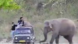 Elephant Viral Video: ਹਾਥੀ ਨੇ ਸੈਲਾਨੀਆਂ ਨਾਲ ਕੀਤਾ ਇਹ ਗਜ਼ਬ ‘ਪ੍ਰੈਂਕ’, ਪਲਾਂ ‘ਚ ਹੋ ਗਈ ਹਾਲਤ ਖ਼ਰਾਬ- VIDEO Elephant Viral Video: ਹਾਥੀ ਨੇ ਸੈਲਾਨੀਆਂ ਨਾਲ ਕੀਤਾ ਇਹ ਗਜ਼ਬ ‘ਪ੍ਰੈਂਕ’, ਪਲਾਂ ‘ਚ ਹੋ ਗਈ ਹਾਲਤ ਖ਼ਰਾਬ- VIDEO