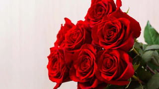 Rose Day 2024: ਆਪਣੇ ‘ਪਿਆਰ’ ਨੂੰ ਰੋਜ਼ ਡੇਅ ‘ਤੇ ਫੀਲ ਕਰਵਾਓ ਸਪੈਸ਼ਲ, ਚਿਹਰੇ ‘ਤੇ ਆ ਜਾਵੇਗੀ ਖਾਸ ਮੁਸਕਰਾਹਟ ।