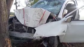 ਸੰਘਣੀ ਧੁੰਦ ਕਰਕੇ ਬੀਤੇ 24 ਘੰਟਿਆਂ ਵਿੱਚ ਸੜਕ ਹਾਦਸਿਆਂ ਵਿੱਚ 6 ਲੋਕਾਂ ਦੀ ਮੌਤ