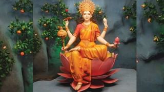 Chaitra Navratri 2024: ਮਹਾਨਵਮੀ ਦੇ ਦਿਨ ਇਸ ਤਰ੍ਹਾਂ ਕਰੋ ਦੇਵੀ ਸਿੱਧੀਦਾਤਰੀ ਦੀ ਪੂਜਾ, ਜਾਣੋ ਪੂਜਾ ਵਿਧੀ