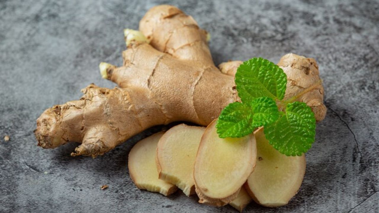 Ginger Water: ਖਾਲੀ ਪੇਟ ਅਦਰਕ ਦਾ ਪਾਣੀ ਪੀਣਾ ਸ਼ੁਰੂ ਕਰੋ, ਨਿਖਰ ਜਾਵੇਗੀ ਸਕਿਨ! ਮਾਹਿਰ ਤੋਂ ਜਾਣੋ Ginger Water: ਖਾਲੀ ਪੇਟ ਅਦਰਕ ਦਾ ਪਾਣੀ ਪੀਣਾ ਸ਼ੁਰੂ ਕਰੋ, ਨਿਖਰ ਜਾਵੇਗੀ ਸਕਿਨ! ਮਾਹਿਰ ਤੋਂ ਜਾਣੋ
