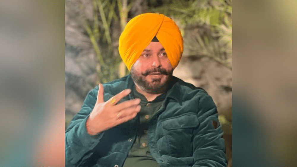 ਸਿੱਧੂ ਦੀ ਮੁੱਢਲੀ ਪੜ੍ਹਾਈ ਯਾਦਵਿੰਦਰਾ ਪਬਲਿਕ ਸਕੂਲ, ਪਟਿਆਲਾ ਵਿਖੇ ਹੋਈ। ਉਨ੍ਹਾਂ ਨੇ ਆਪਣੀ ਕਾਲਜ ਦੀ ਪੜ੍ਹਾਈ ਪੰਜਾਬ ਯੂਨੀਵਰਸਿਟੀ, ਚੰਡੀਗੜ੍ਹ ਦੇ ਮਹਿੰਦਰਾ ਕਾਲਜ ਤੋਂ ਪੂਰੀ ਕੀਤੀ। ਫਿਰ ਕੁਝ ਸਮੇਂ ਲਈ ਸਿੱਧੂ ਪੜ੍ਹਨ ਲਈ ਮੁੰਬਈ ਚਲੇ ਗਏ ਅਤੇ ਉਨ੍ਹਾਂ ਨੇ ਐਚਆਰ ਕਾਲਜ ਆਫ਼ ਕਾਮਰਸ ਐਂਡ ਇਕਨਾਮਿਕਸ ਤੋਂ ਪੜ੍ਹਾਈ ਕੀਤੀ।