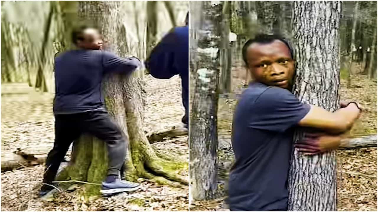 ਇਸ 29 ਸਾਲਾ ਨੌਜਵਾਨ ਨੇ ਰੁੱਖਾਂ ਨਾਲ ਕੀਤਾ ਅਜਿਹਾ ਕਾਰਨਾਮਾ, ਬਣ ਗਿਆ ਵਿਸ਼ਵ ਰਿਕਾਰਡ, VIDEO ਇਸ 29 ਸਾਲਾ ਨੌਜਵਾਨ ਨੇ ਰੁੱਖਾਂ ਨਾਲ ਕੀਤਾ ਅਜਿਹਾ ਕਾਰਨਾਮਾ, ਬਣ ਗਿਆ ਵਿਸ਼ਵ ਰਿਕਾਰਡ, VIDEO